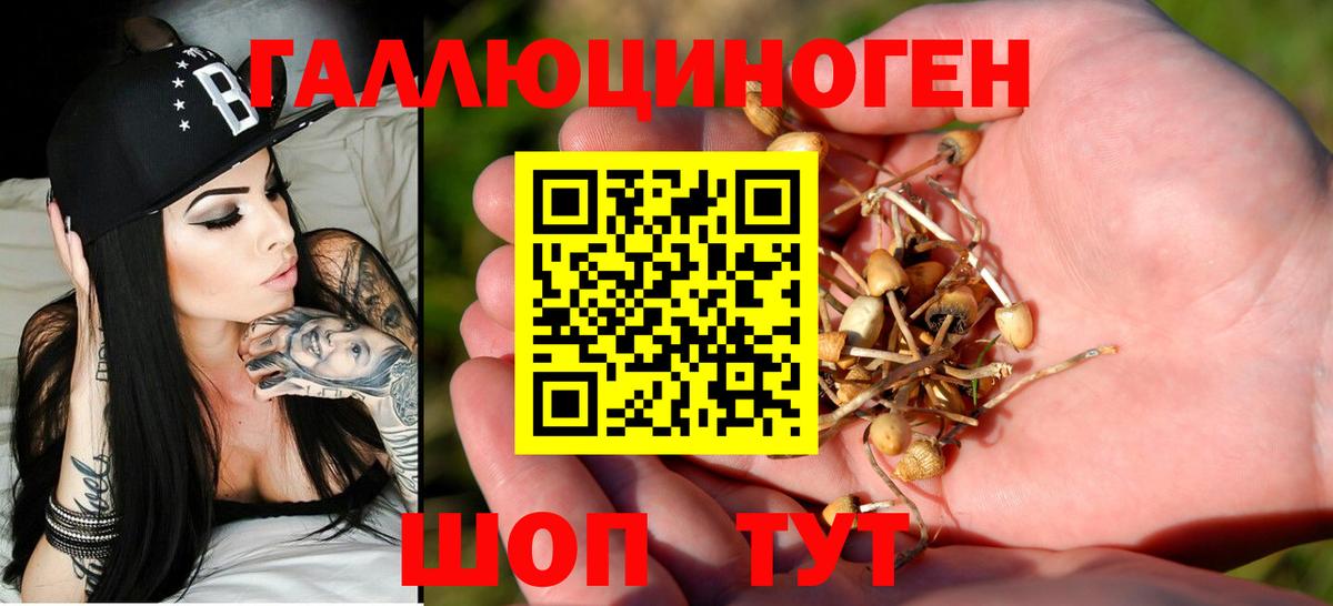 Галлюциногенные грибы Cubensis  Вход с VPN  Клинцы 